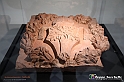 VBS_4120 - Mostra Il Rinascimento in Piemonte - Castello della Rovere - Vinovo 